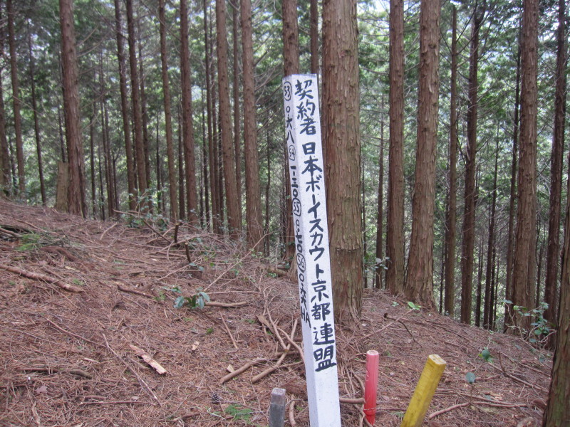 d0103314_23241731.jpg