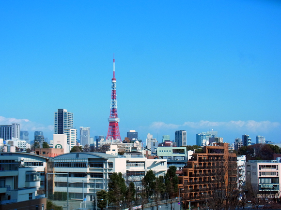 桜期待の東京出張だが・・・_e0083517_11584129.jpg