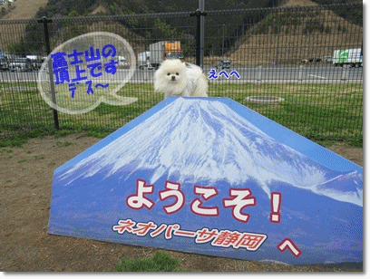 b0167519_1141456.gif