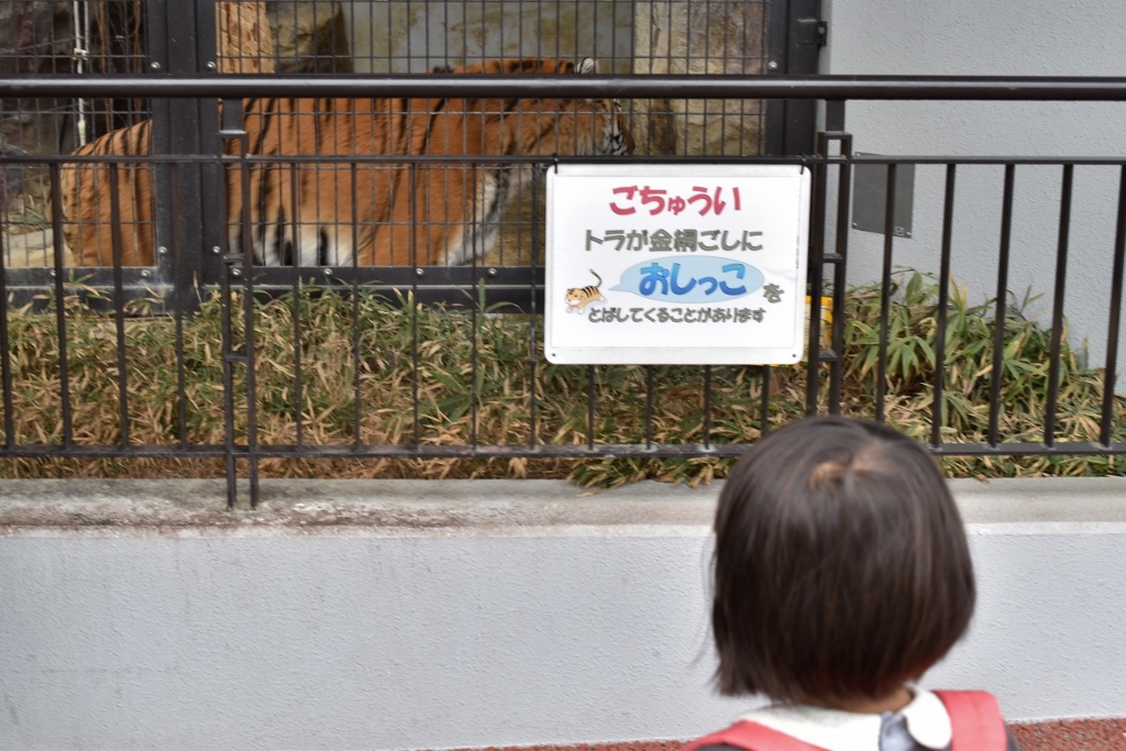 a0274324_05563623.jpg