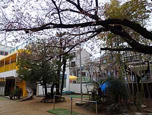 みなさん、こんにちは。_e0325335_858525.jpg