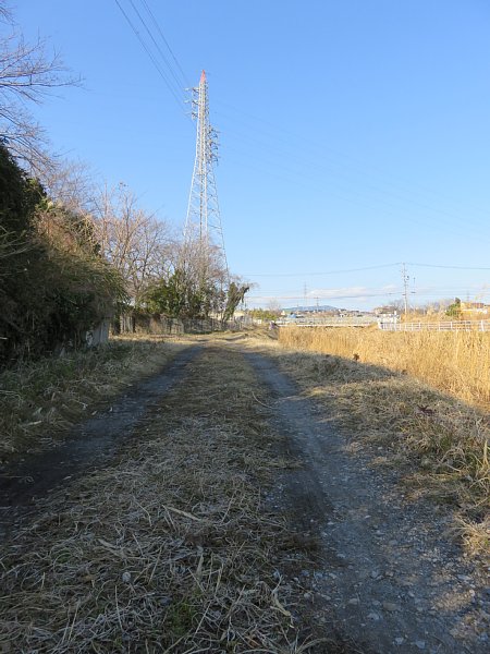 2017年4月1日　いつもと違った散歩道_b0341140_1332185.jpg