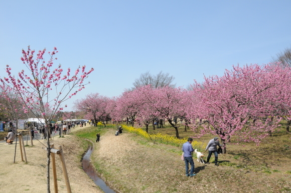 c0147241_16282488.jpg