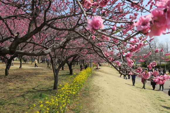 c0147241_16284515.jpg