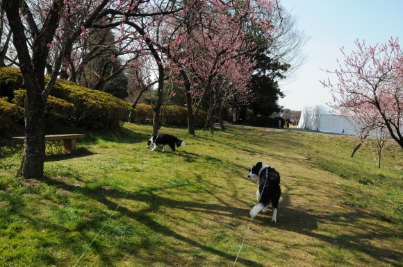 c0147241_16320671.jpg