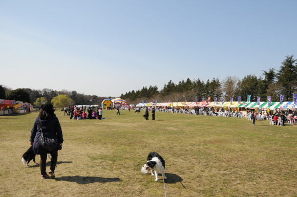 c0147241_16322060.jpg