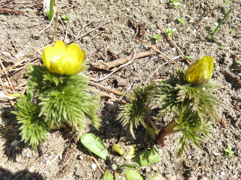 b0238249_17265180.jpg