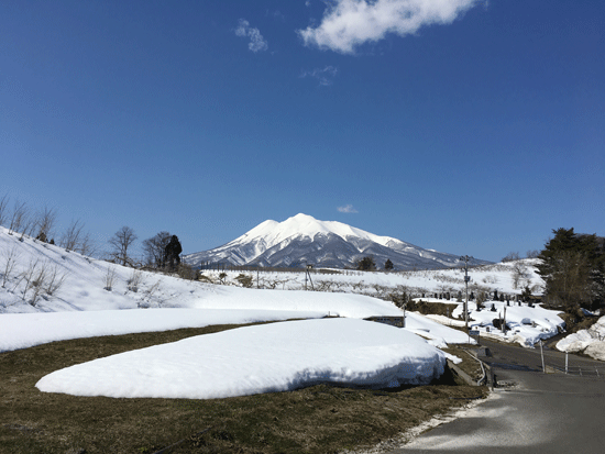 b0111551_12084331.gif