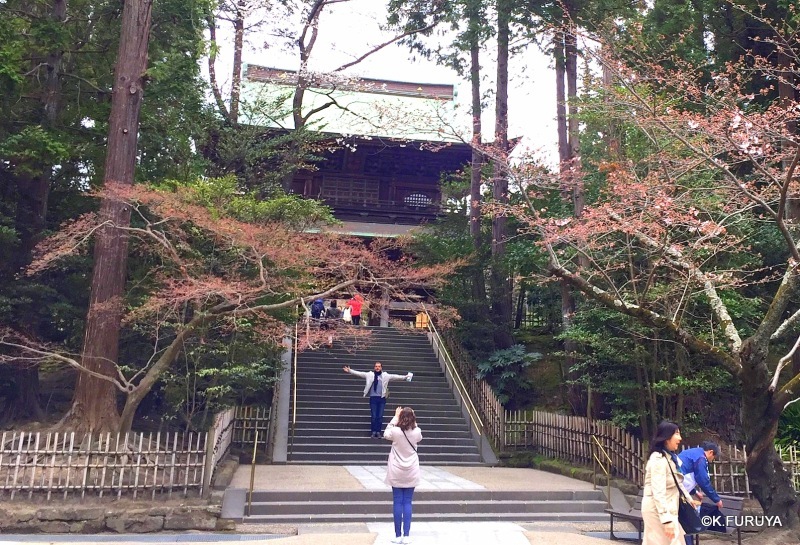 ☂ 雨の鎌倉散策 ☂ 円覚寺 其の壱_a0092659_18103920.jpg