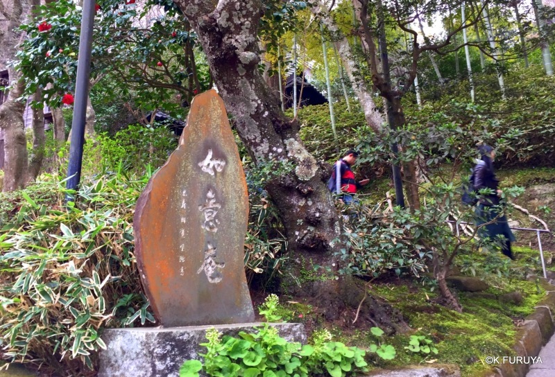 ☂ 雨の鎌倉散策 ☂ 円覚寺 其の壱_a0092659_22002418.jpg