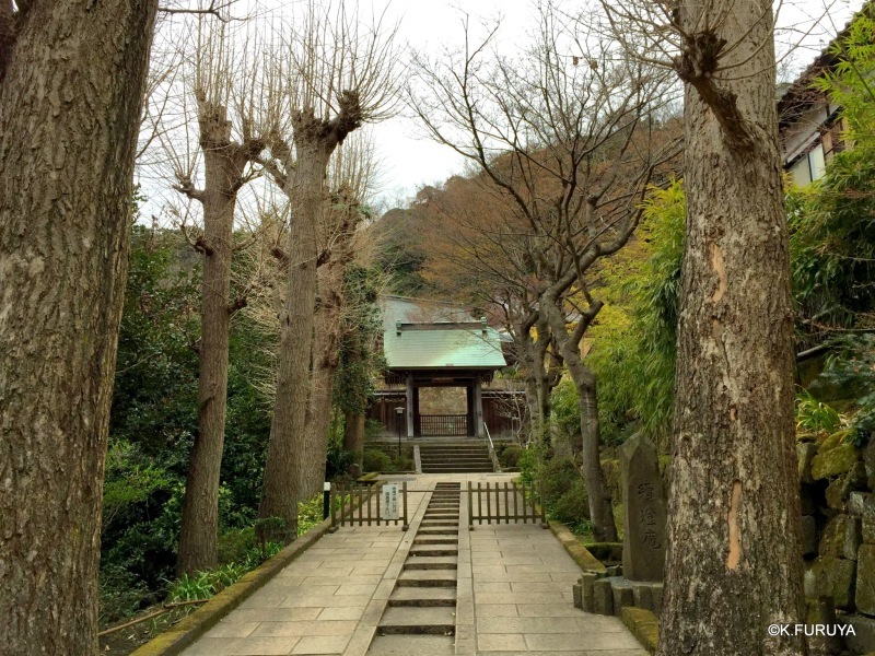 ☂ 雨の鎌倉散策 ☂ 円覚寺 其の壱_a0092659_22233408.jpg