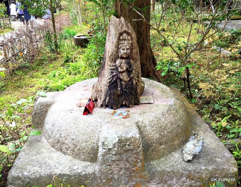 ☂ 雨の鎌倉散策 ☂ 円覚寺 其の壱_a0092659_23334672.jpg