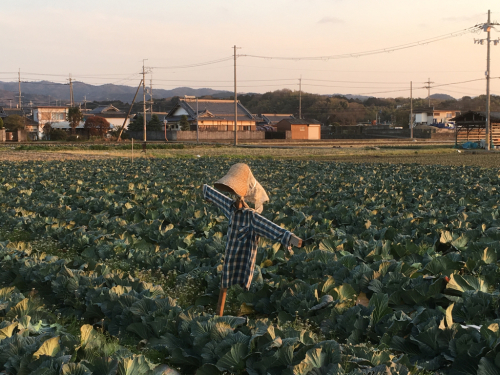 春の夕焼け散歩_e0136066_20120784.jpg