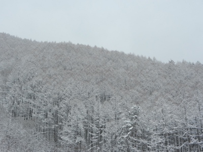 4月1日は雪の華見。_d0226767_18043616.jpg