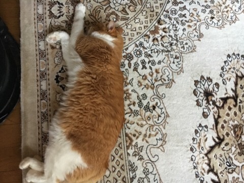 f0363168_18201198.jpg