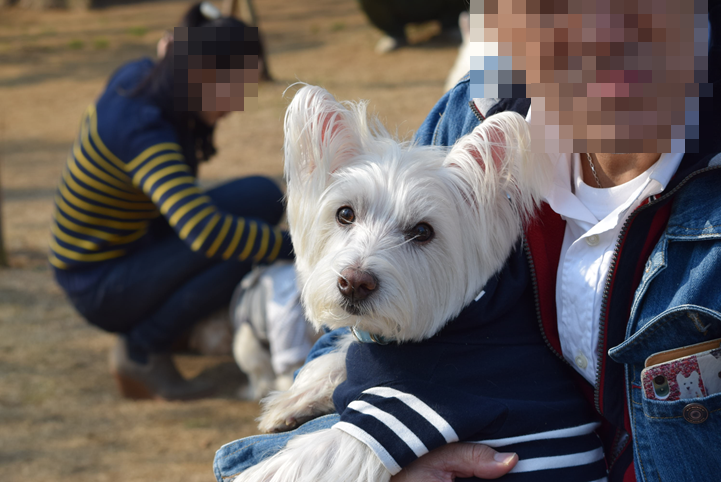 b0242873_11413978.png