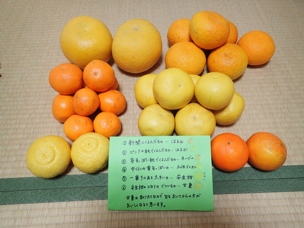 c0286574_17502693.jpg