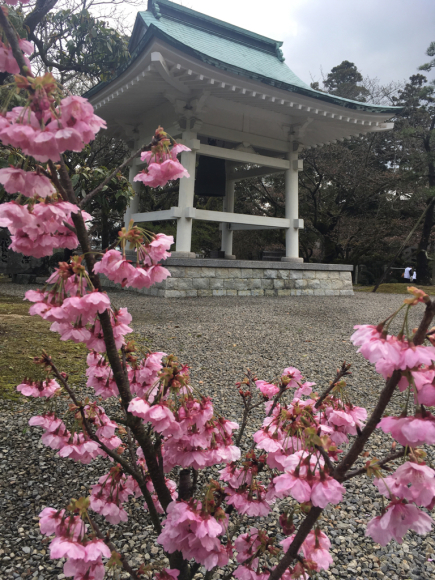 遍路・61番札所 香園寺（こうおんじ・愛媛県西条市）_d0339676_12122490.jpg