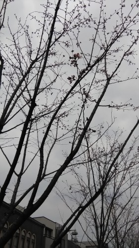 f0350477_15003402.jpg