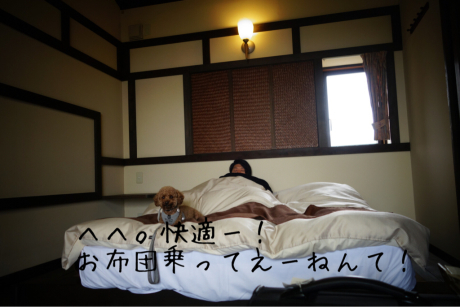 伊豆旅行 1日目の宿かざみどり 犬のための家でのんびり田舎暮らし 伊豆旅行 1日目の宿かざみどり 犬のための家でのんびり田舎暮らし