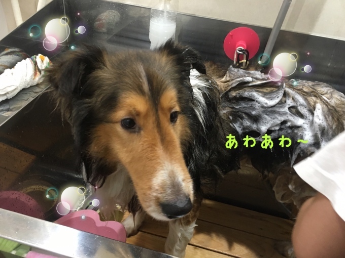 d0269898_11351047.jpeg