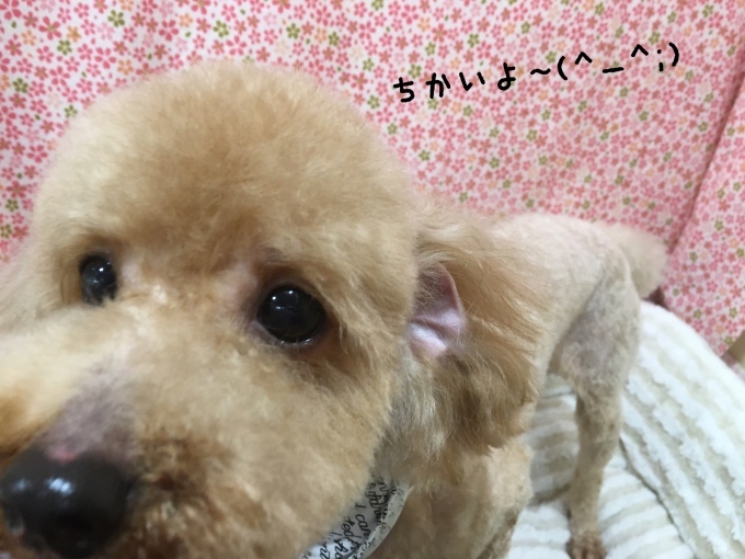 d0269898_11355335.jpeg
