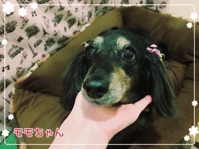 d0269898_11363930.jpeg