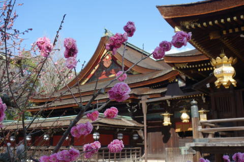 b0069604_19431246.jpg