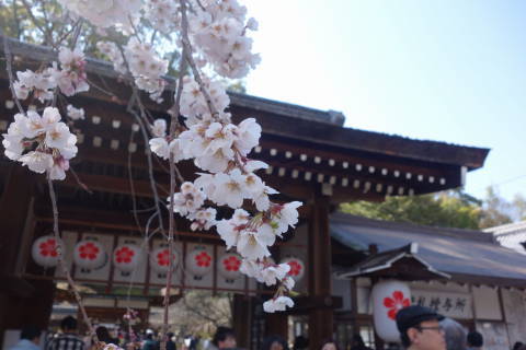 b0069604_19440067.jpg