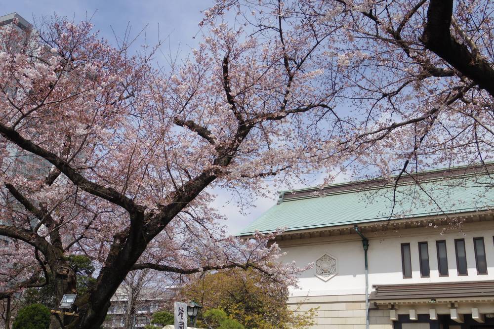 千鳥ヶ淵の桜はまだぼちぼち_a0246407_15200249.jpg
