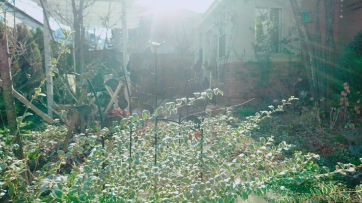 b0345108_16272887.jpg