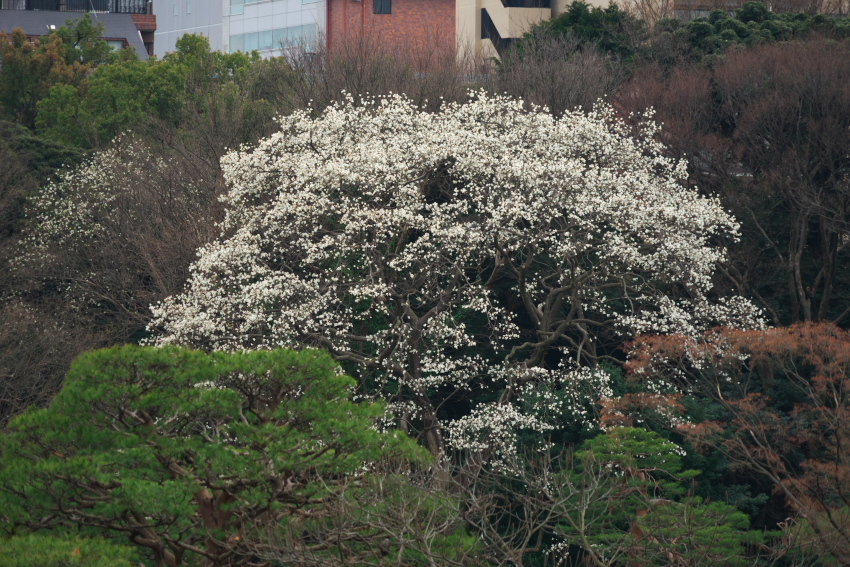 a0263109_15001034.jpg