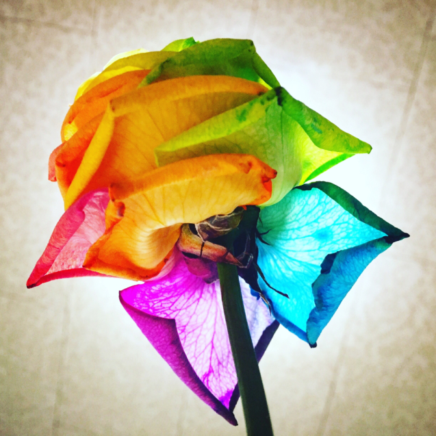 c0180209_21554146.jpg