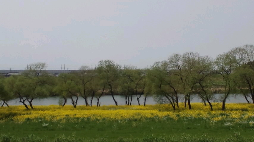 f0015517_07550277.jpeg