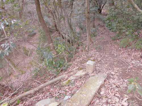 b0181818_11405429.jpg