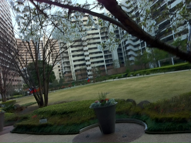 c0102727_1822287.jpg