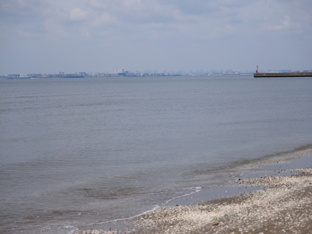 c0117831_19565220.jpg