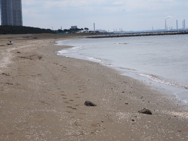 c0117831_19572420.jpg