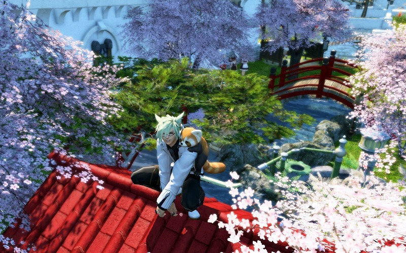 庭 ロイヤルブルー活動 こたろの日記 Ff14