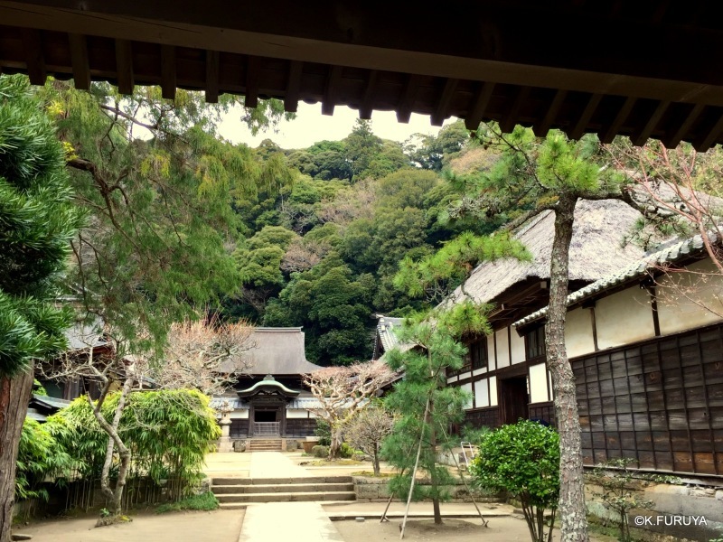 ☂ 雨の鎌倉散策 ☂ 円覚寺 其の壱_a0092659_01233424.jpg
