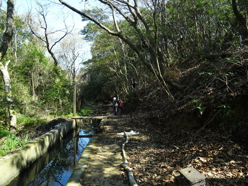 階段の補修も大変であった・・・うみべの森_c0108460_21434201.jpg