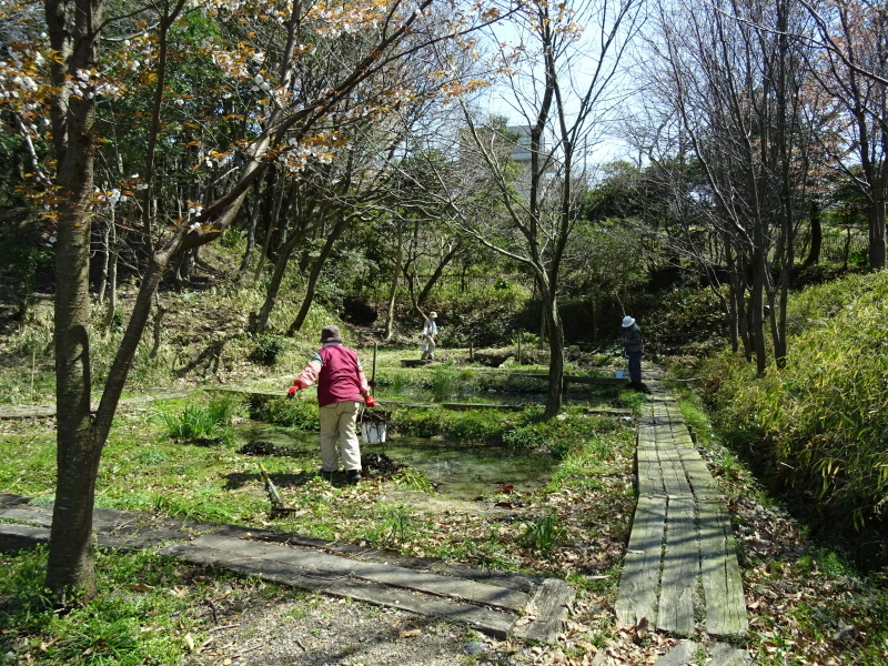 階段の補修も大変であった・・・うみべの森_c0108460_21462711.jpg