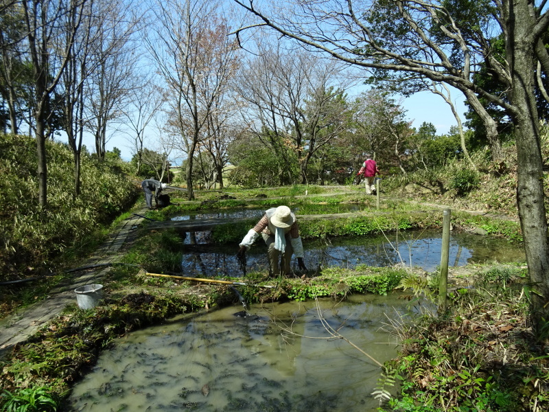 階段の補修も大変であった・・・うみべの森_c0108460_21470790.jpg