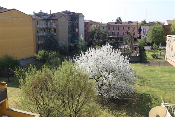 d0047461_17274795.jpg