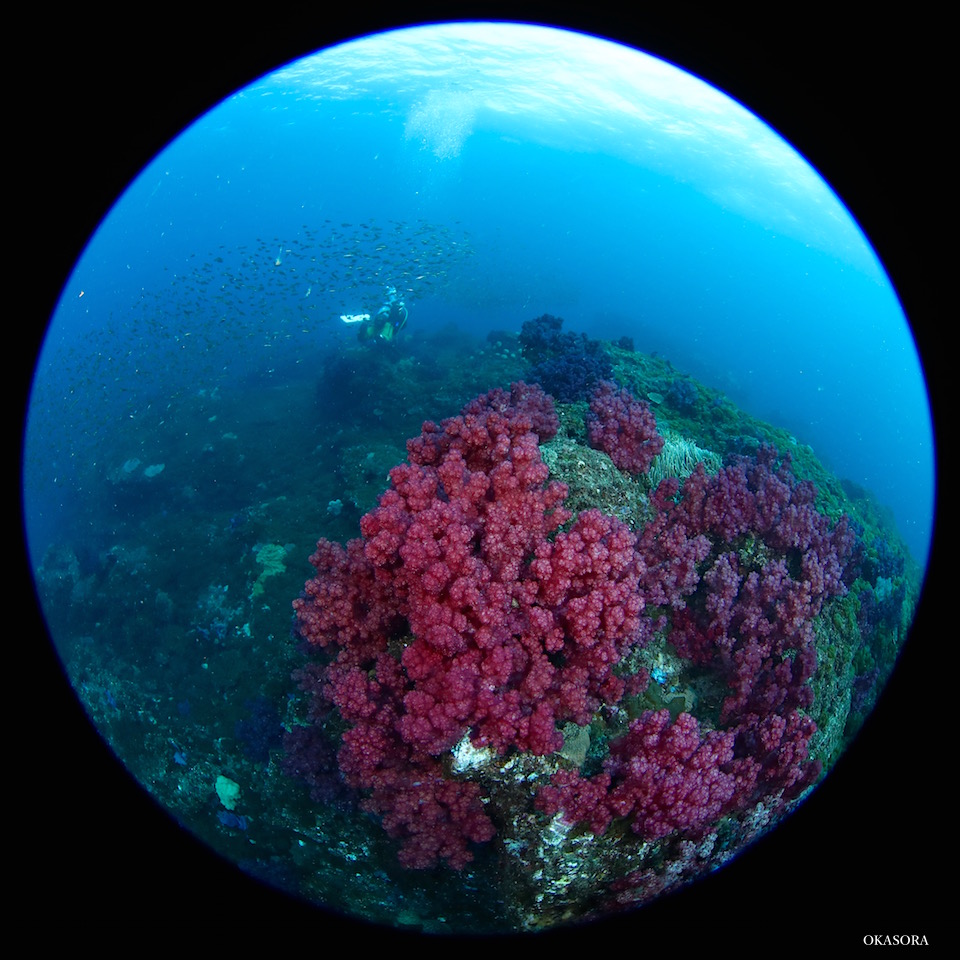 「高島」にて☆みなべ・田辺_e0158261_1793814.jpg