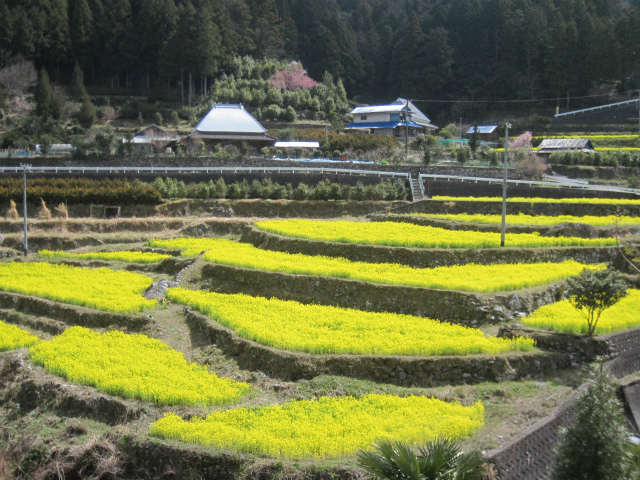 2017.4.2 柴小屋山_c0219866_17593050.jpg