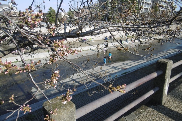 すごいお鍋_f0205367_17264067.jpg