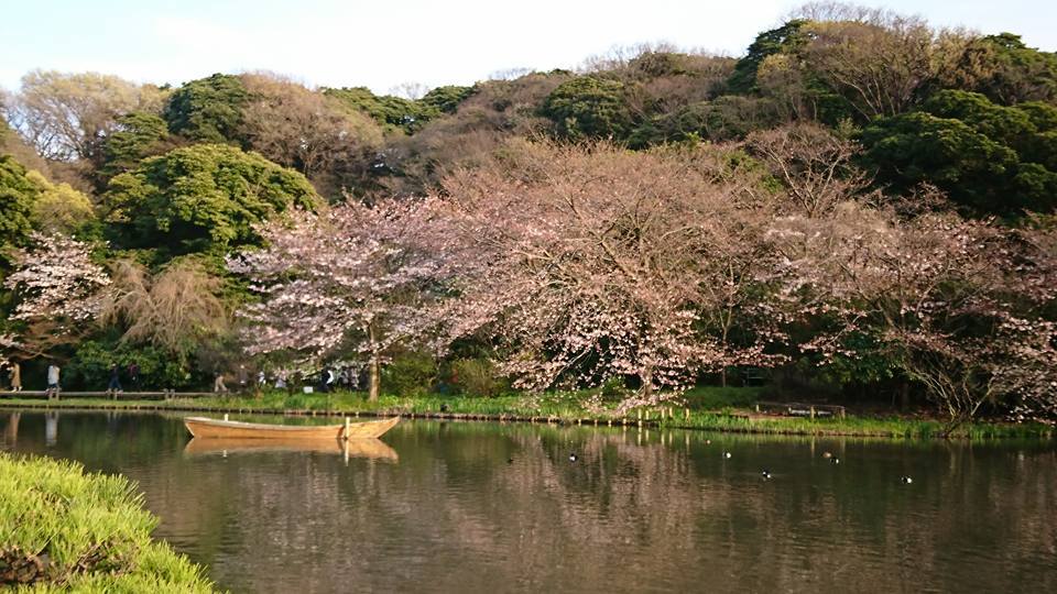 ４月２日（日）三溪園_e0006772_21354592.jpg