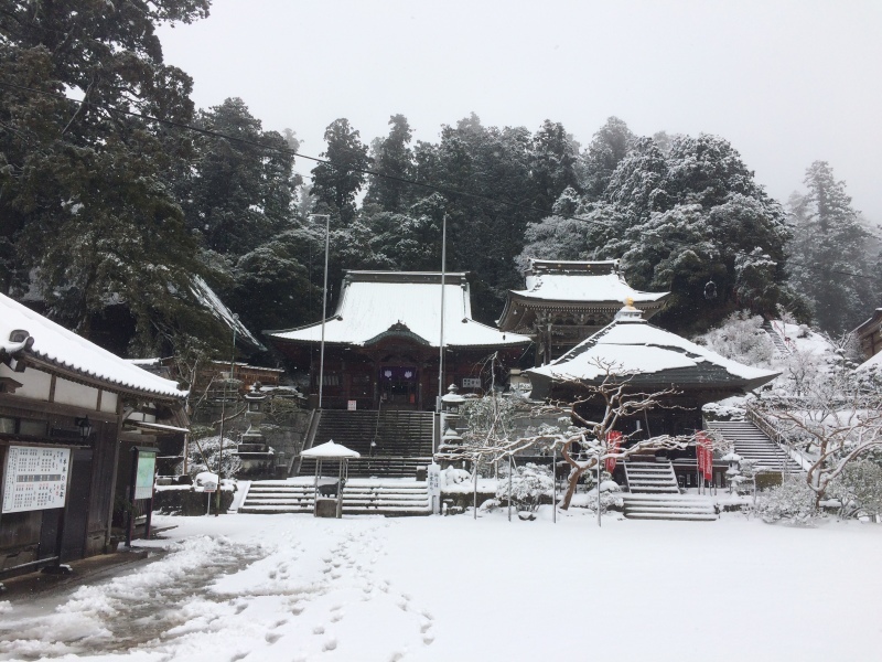 僧道林に行ってきました!(´▽`)_e0373473_22564142.jpg