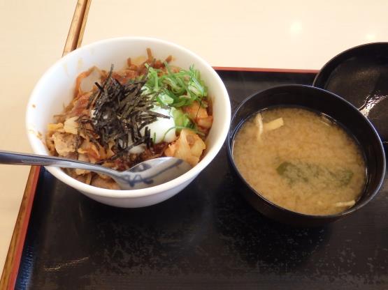 松屋のビビン丼　　　　　　箕面店_c0118393_11223654.jpg